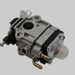 carburator clean up 2 cycle
