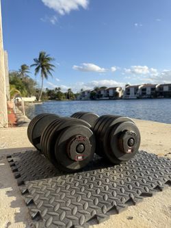 95 lbs dumbbells pair