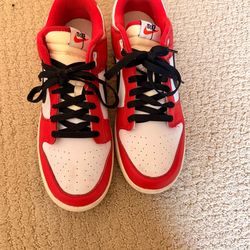 Nike Dunk Low Sneaker