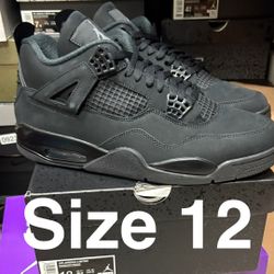 Air Jordan 4 Black Cat
