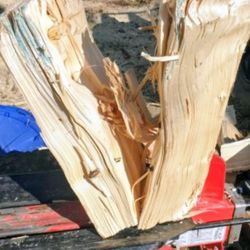 Quality Spruce Firewood 