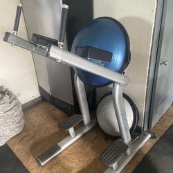 Life Fitness Leg Raises