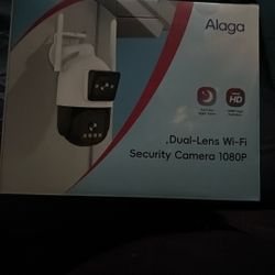 Dual Security Camera 
