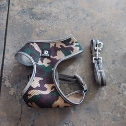 Dog Harness