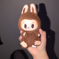 hi