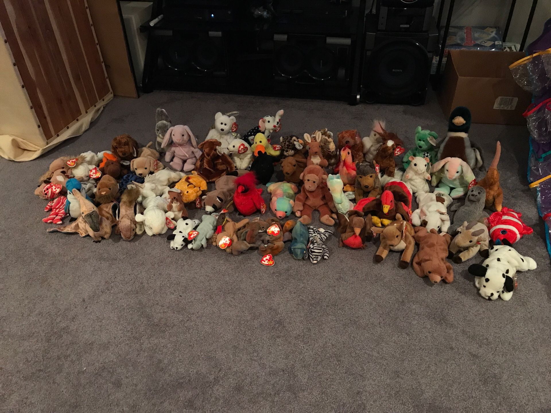 Variety of Beanie babies