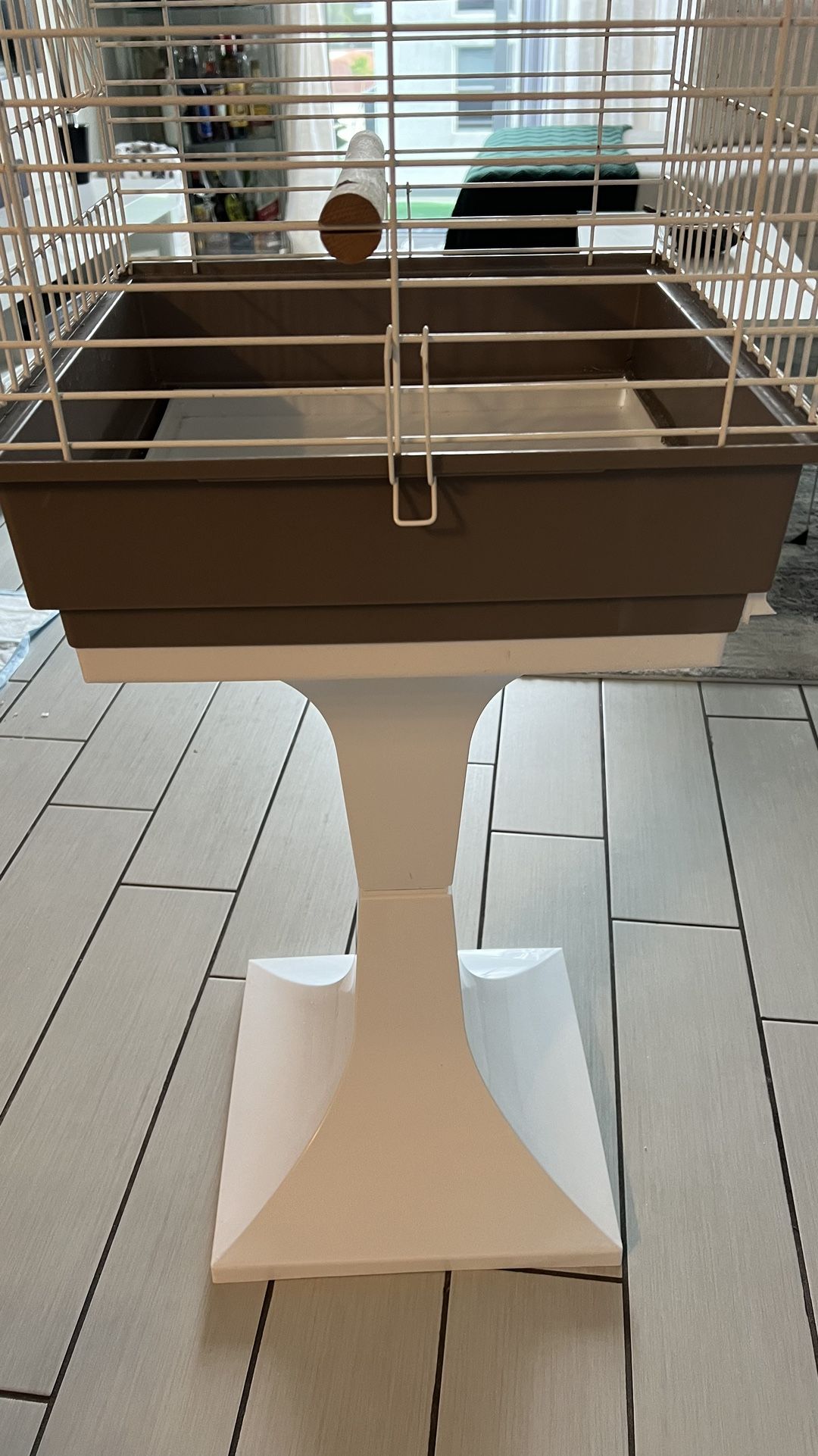 Bird Cage