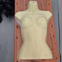 Half Body Mannequin 