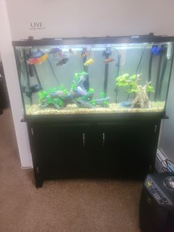 70 Gallons Fish Tank