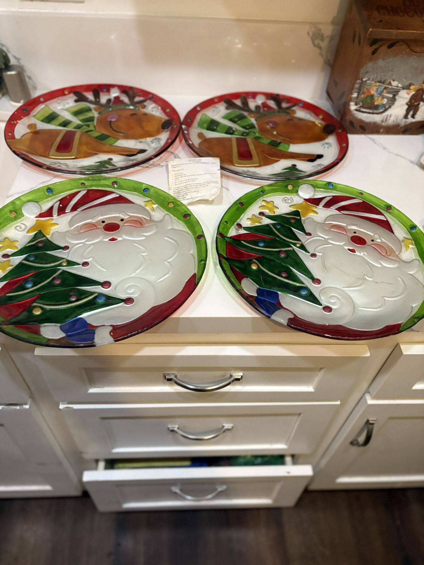 Fused Glass Plate Set