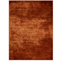 8’x10’ Rust color rug