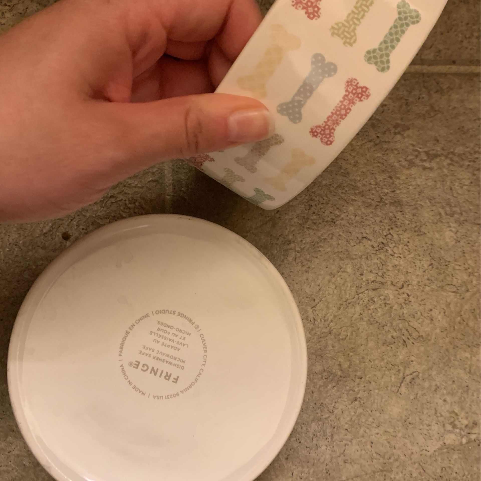 Dog Bowl