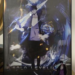 Solo Leveling Cuadro Y Su Figura 11x17 Anime NUEVO. 