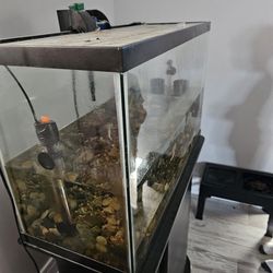 29 Gallon Fish Tank With Stand And Some Equipment