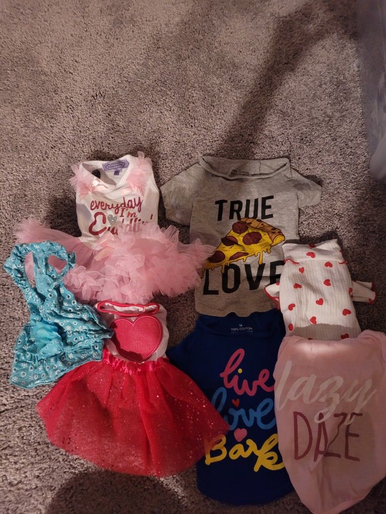 Assorted Pet Clothes
