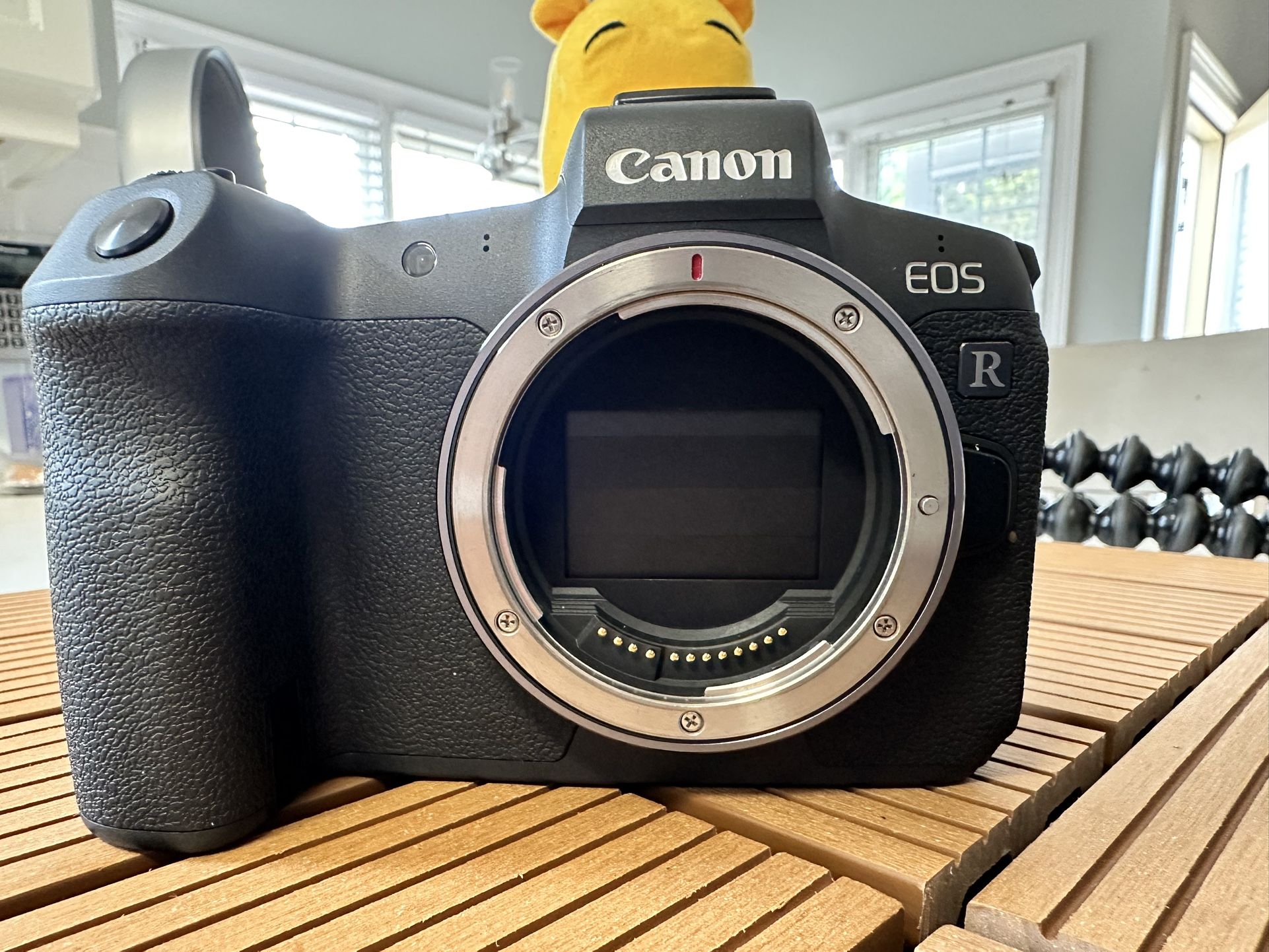 Canon EOS R 30.3 MP Camera body