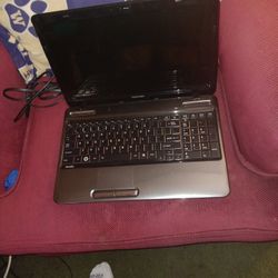 Toshiba Laptop