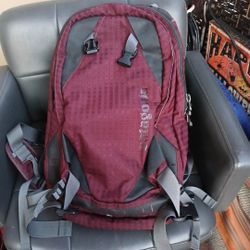 Patigonia Backpack