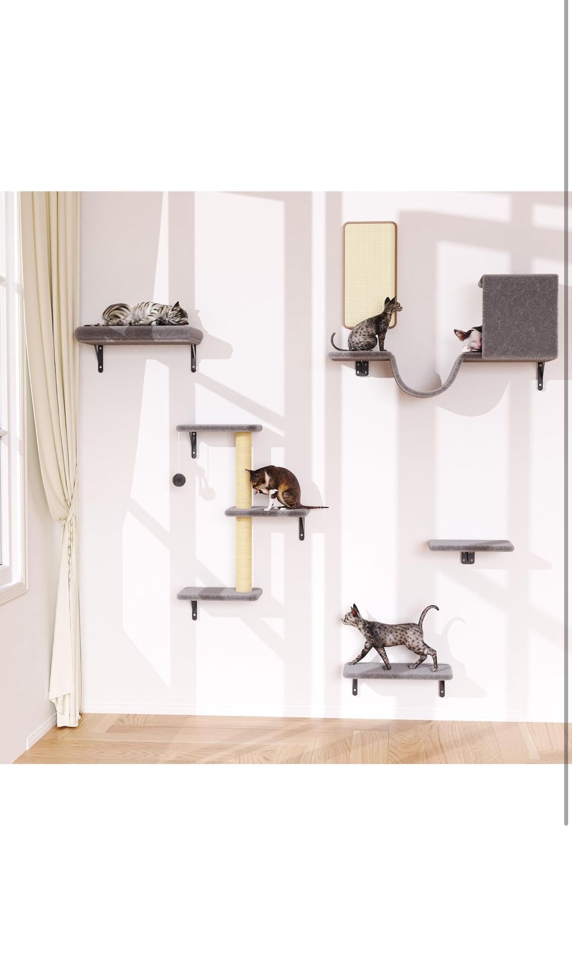 Cat Wall Shelves. *Brand New*
