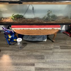 125 Gallon Tank 