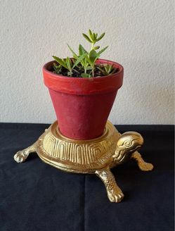 Plant stand with plant