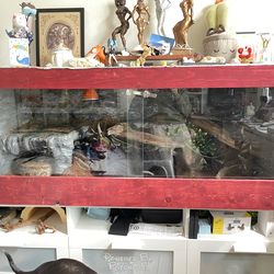 Large Custom Enclosure 5’x2’x2’