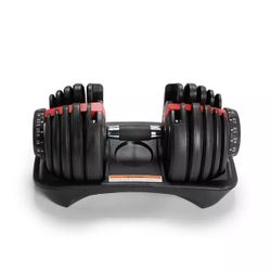 Dumbbells And Bench 