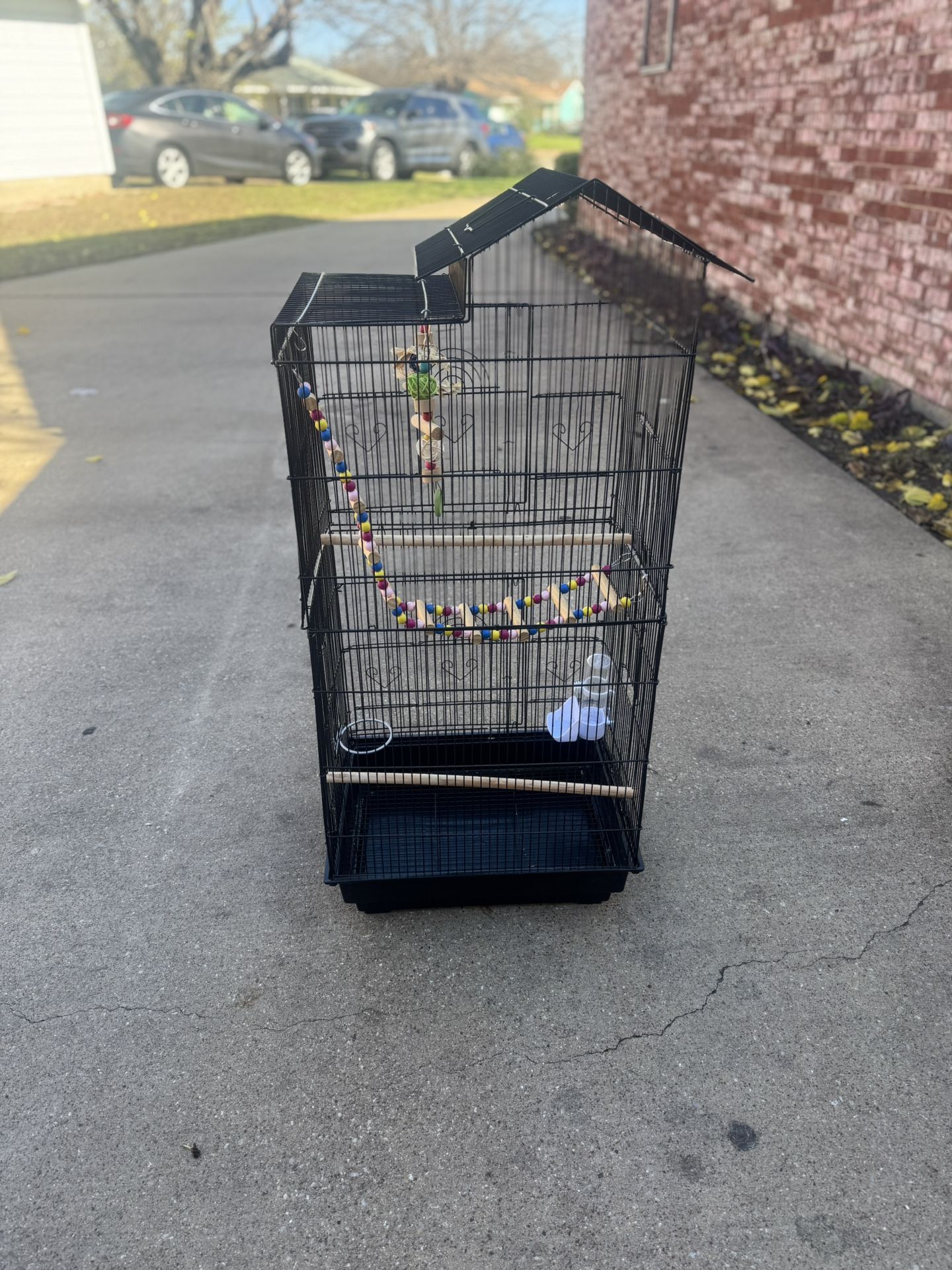 Bird Cage