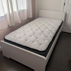Twin Sealy Posturepedic Mattress - Great condition