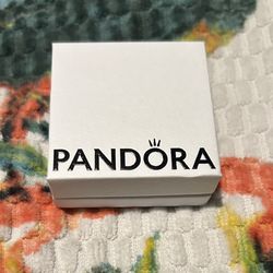 Limited Edition Pandora Charms 