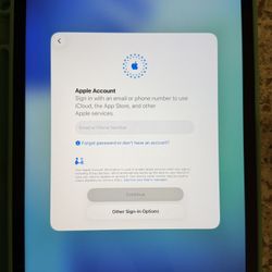 iPad and Pencil: 9th Gen 256 GB Space Gray with 1st Gen Apple Pencil