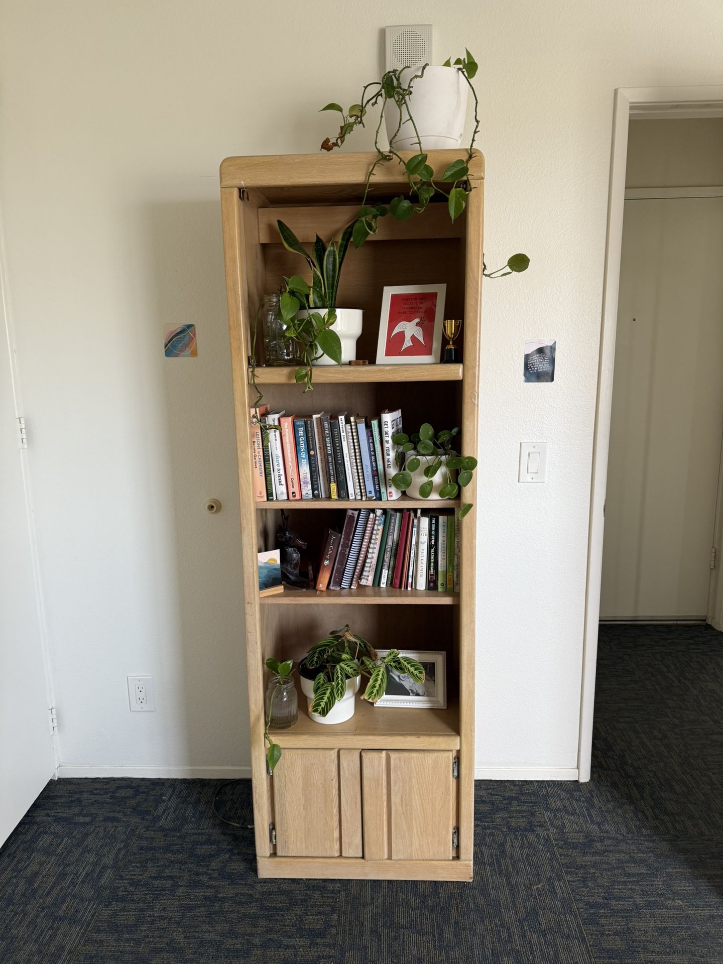 Wooden Bookcase with Storage