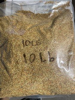 Bee Pollen / Polen De Abeja