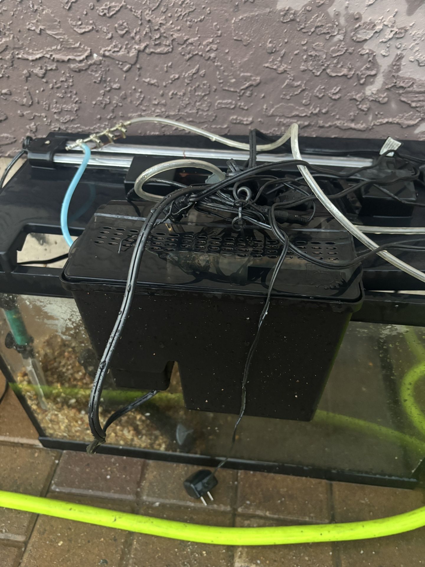Fish Tank