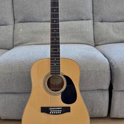 Mitchell 12 String Acoustic Guitar 
