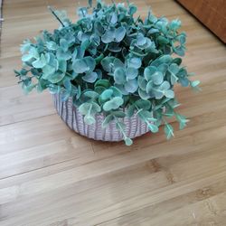 Fake Plant 