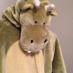 Dinosaur/Dragon Halloween Costume