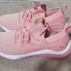 Pink Puma
