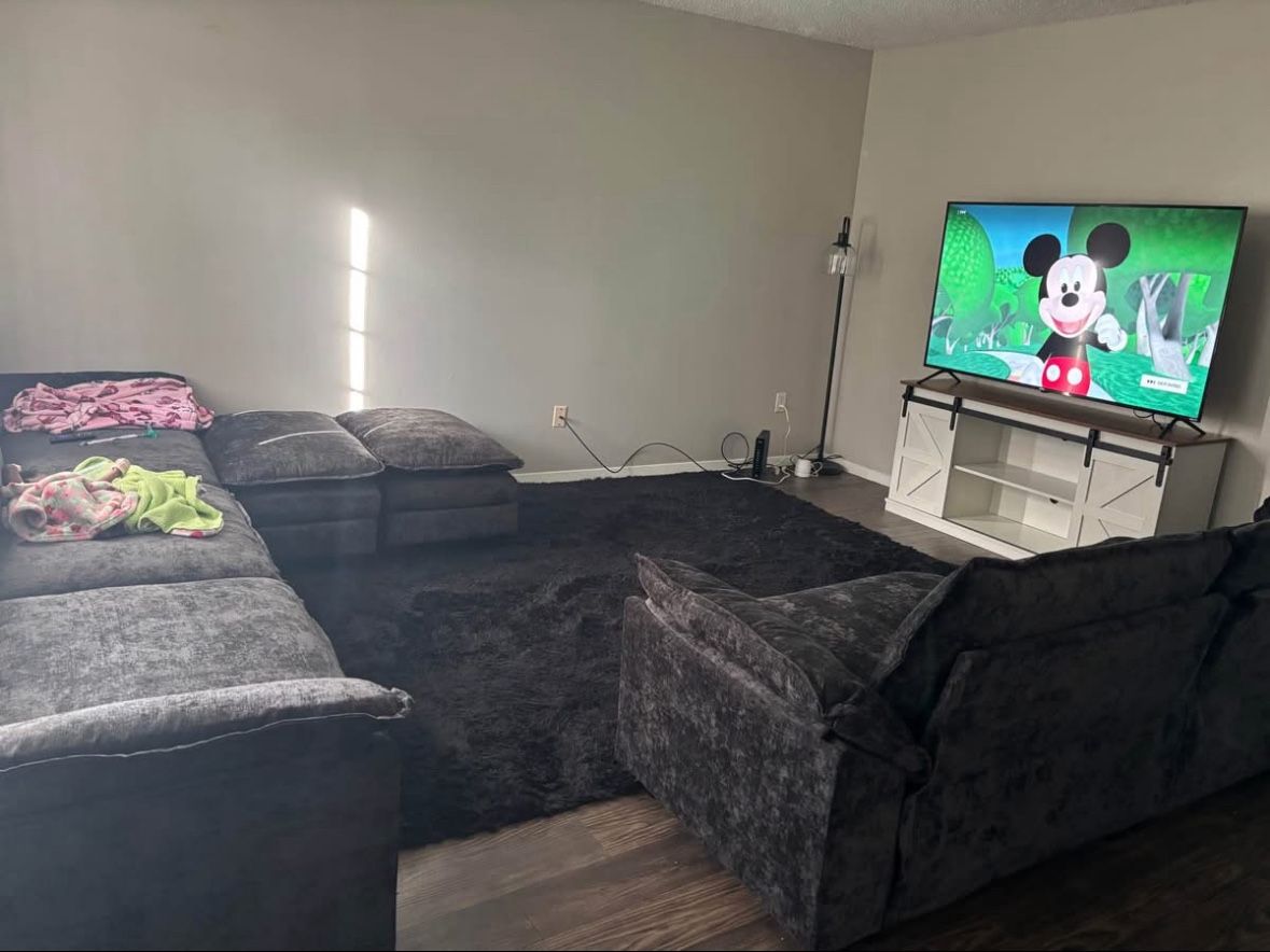 Couches & Table/Chairs