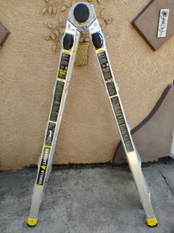 22ft Gorilla Ladder | Escalera