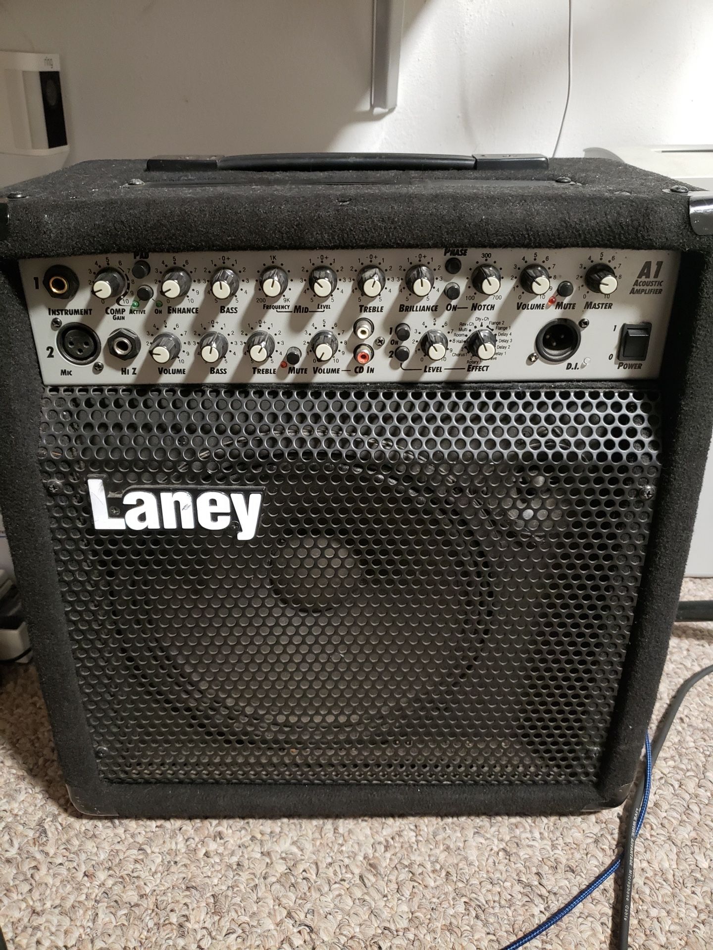 Guitar Speaker And Vocals Amo