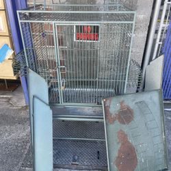 Bird Cage 