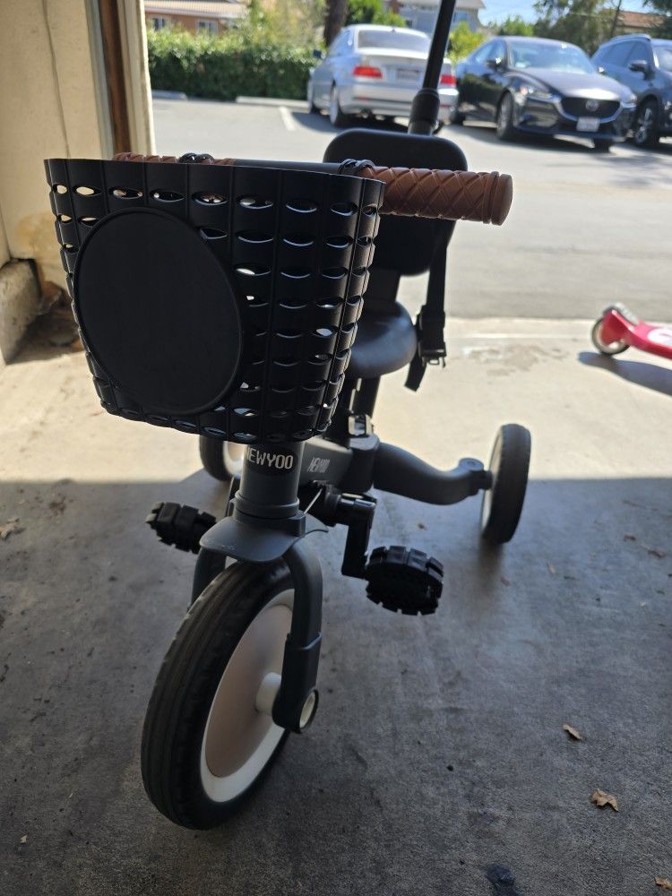 Tricycle With Push Handle