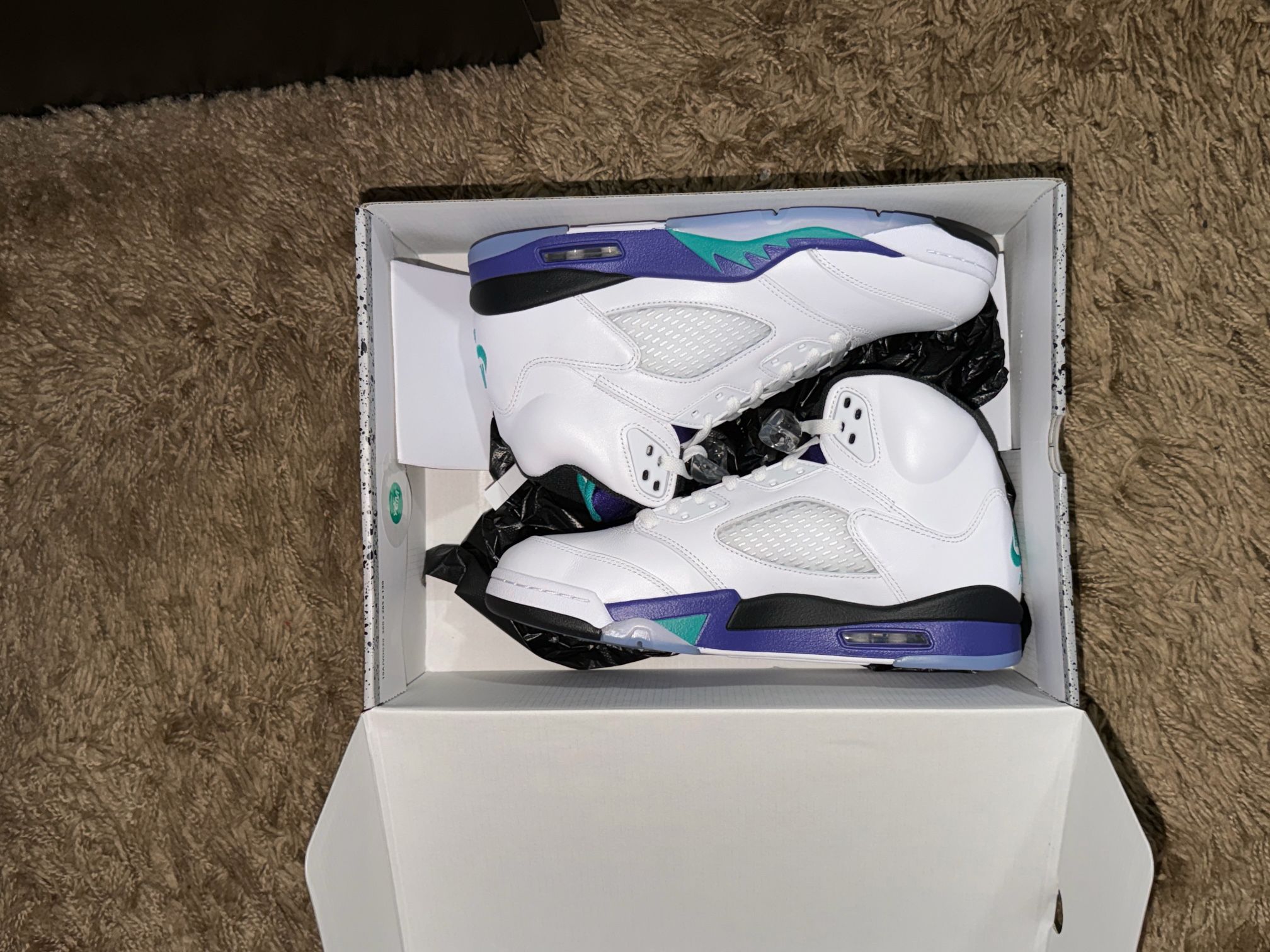 Jordan 5 Retro Grape 2025) Size 10.5 Men New