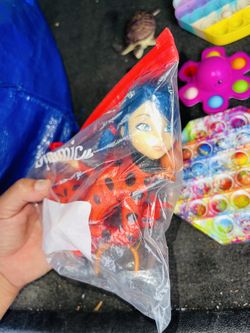 Lady Bug 🐞 & Accessories 