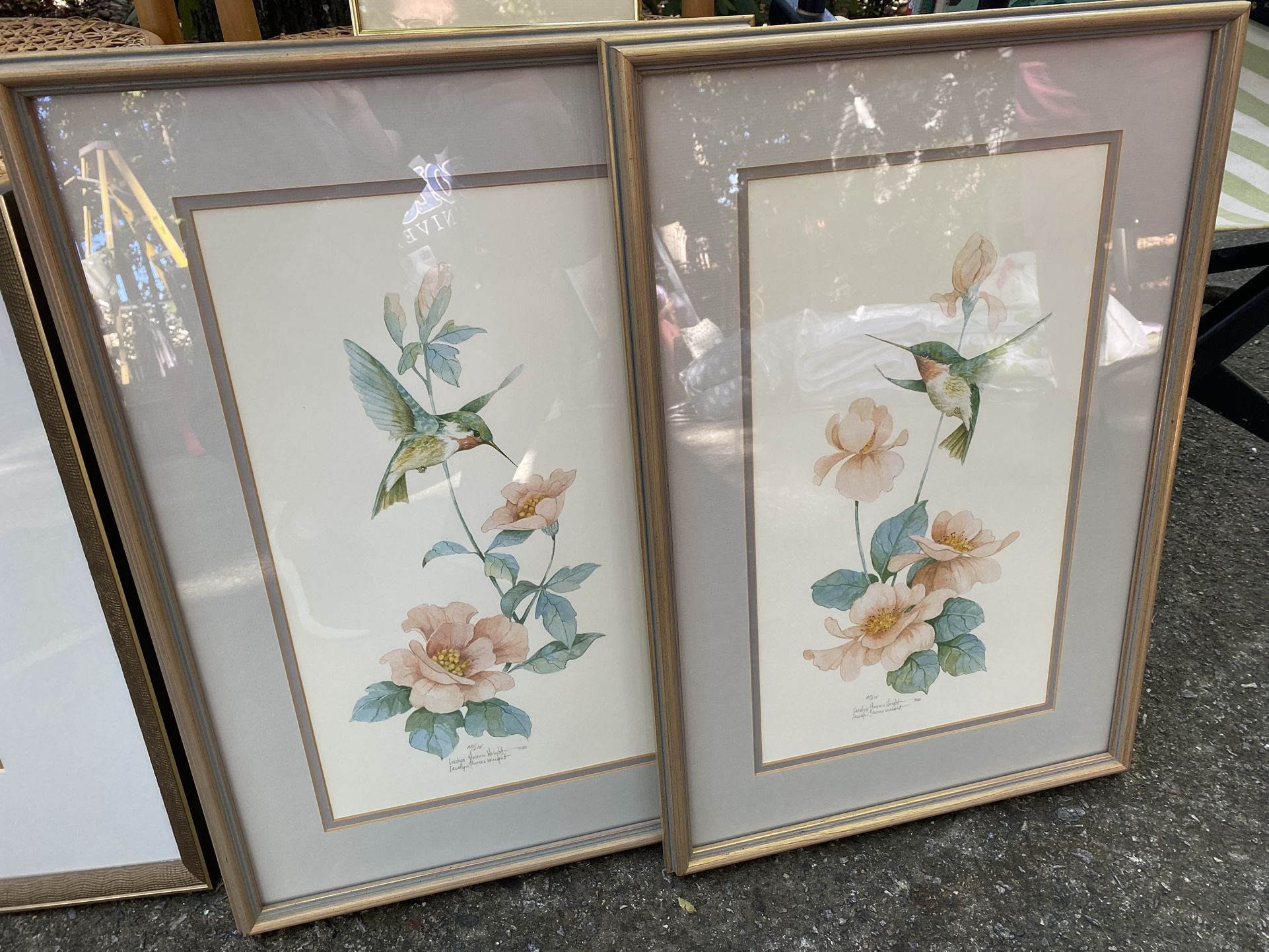 Hummingbird Framed Prints