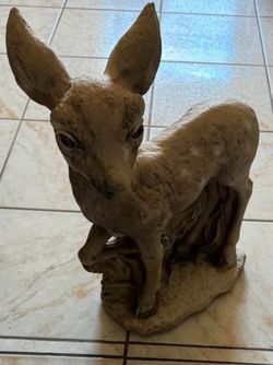 Deer