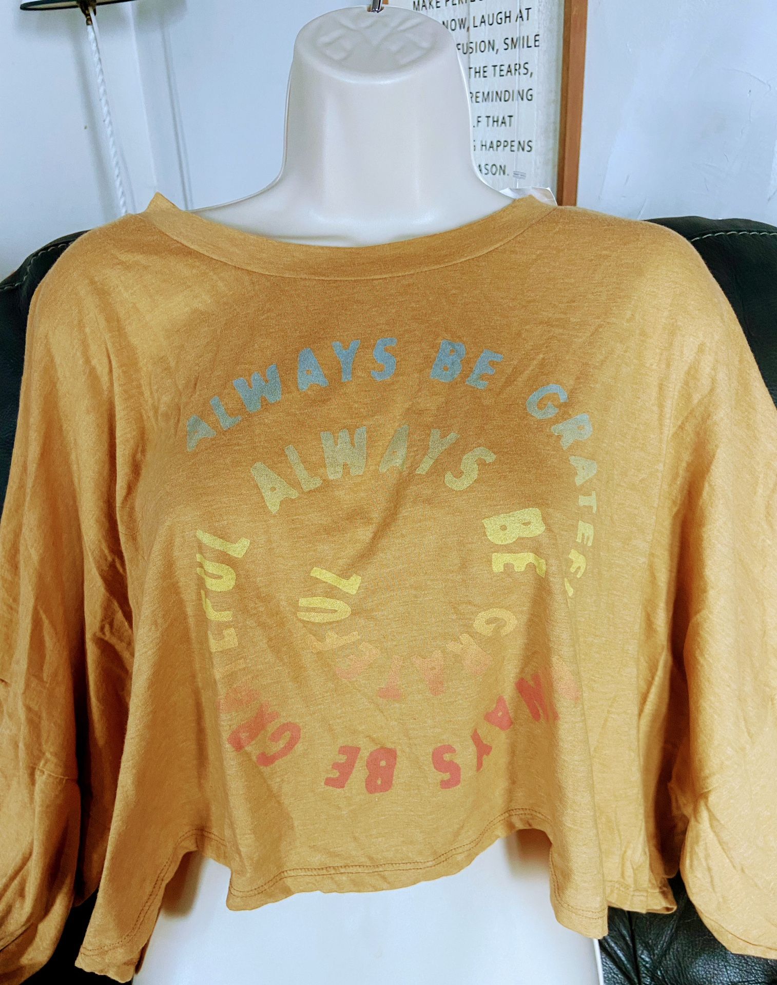 American Eagle Crop Top