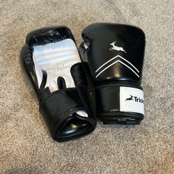 14oz Boxing Gloves