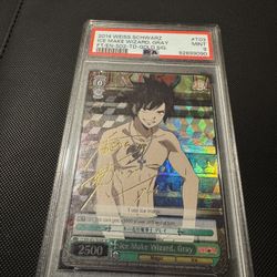 (Please read description)2014 Weiss Schwarz Ice Make Gray FT/ EN -S02 - TD - GOLD SIGN